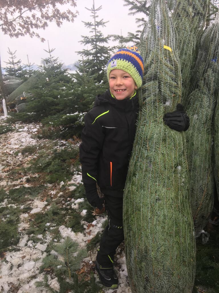 Regionaler Christbaum aus St. Peter/Au im Herzen des